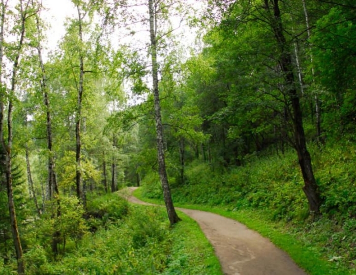 Терренкуры - Санаторий «им. 30-летия Победы»